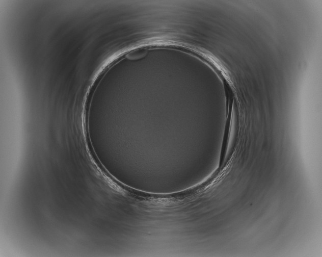 X0000116571334200912171456