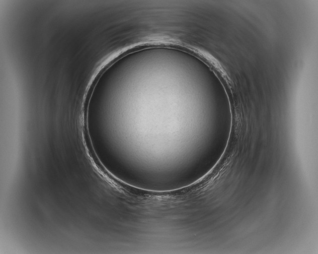 X0000116571335200912171456