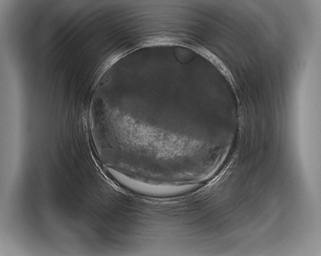 X0000116571337200912171456