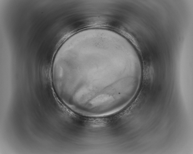 X0000116571338200912171456