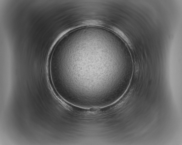 X0000116571339200912171456