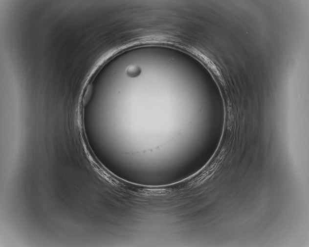 X0000116571342200912171456