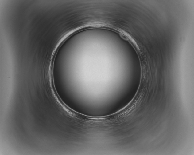 X0000116571343200912171456