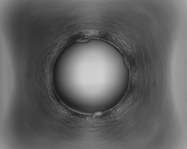 X0000116571345200912171455