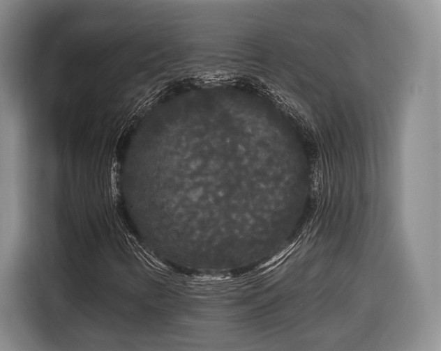 X0000116571346200912171455