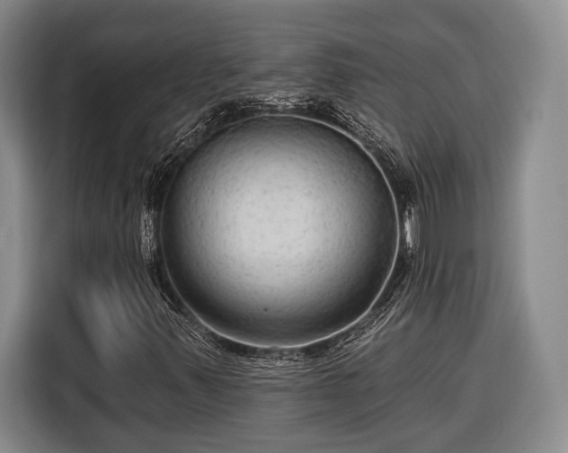 X0000116571347200912171455