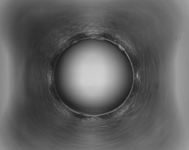 X0000116571348200912171455