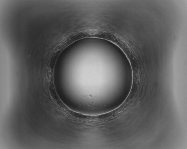 X0000116571349200912171455