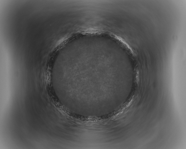 X0000116571350200912171455