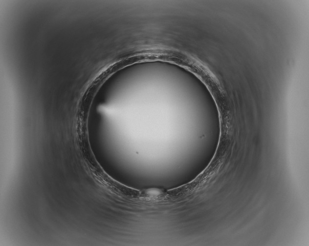 X0000116571352200912171455