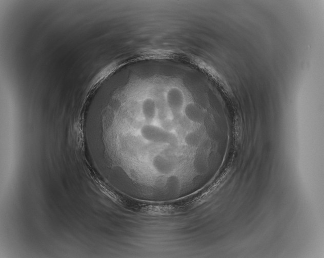 X0000116571354200912171455