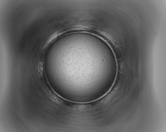 X0000116571355200912171455