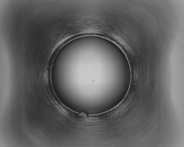 X0000116571356200912171455