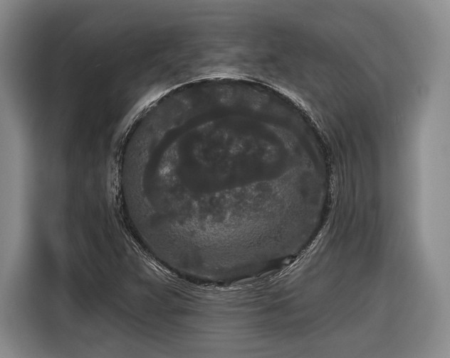 X0000116571359200912171455