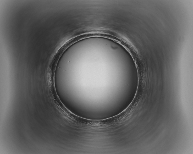 X0000116571360200912171455