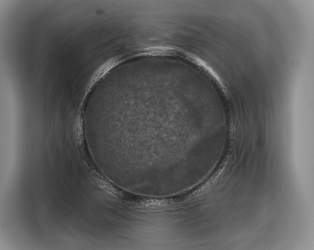 X0000116571362200912171455