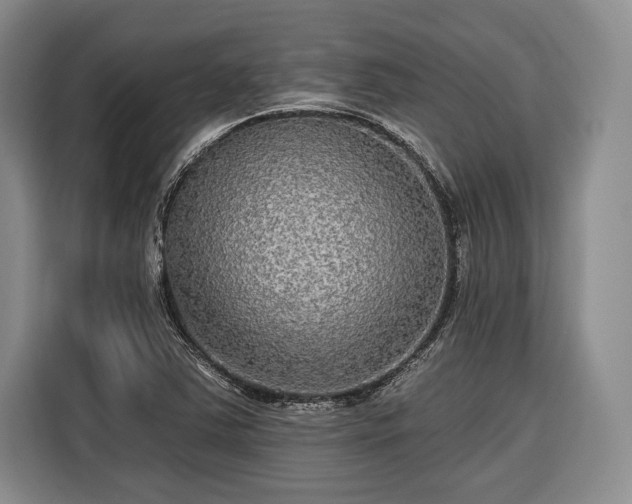 X0000116571363200912171455