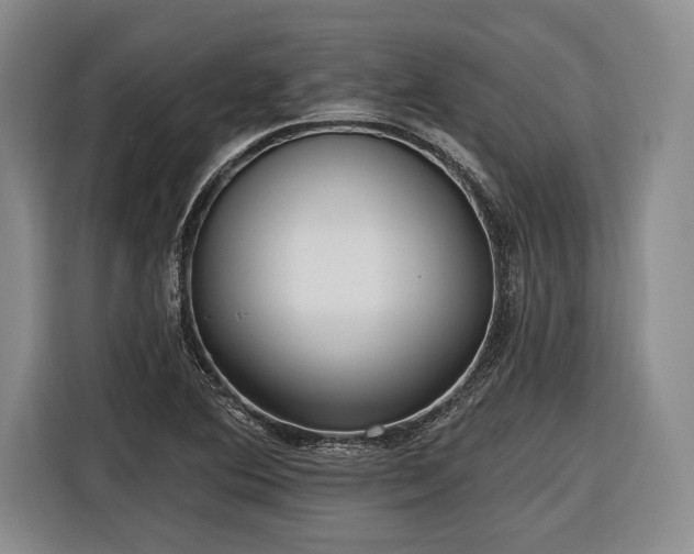 X0000116571364200912171455