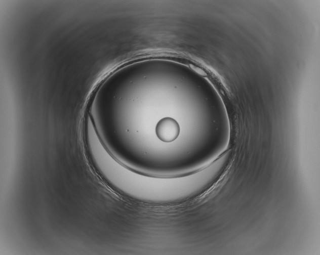 X0000116571365200912171455