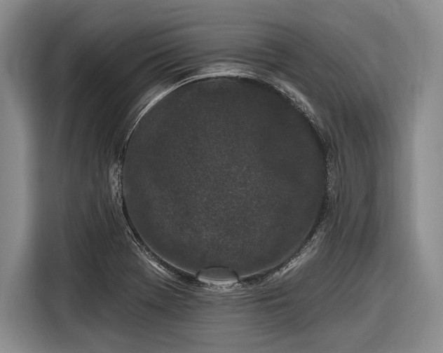 X0000116571369200912171455