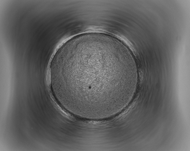 X0000116571371200912171455