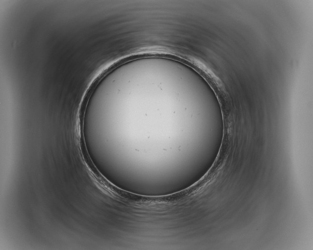 X0000116571372200912171455