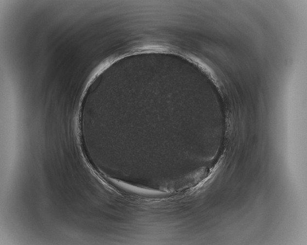 X0000116571373200912171455