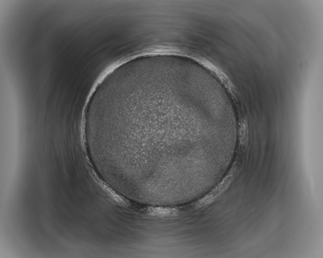 X0000116571374200912171455