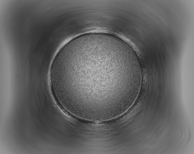 X0000116571375200912171455