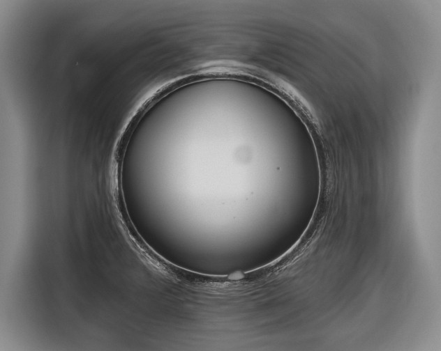 X0000116571376200912171455