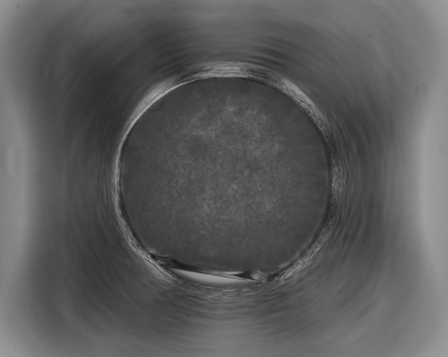 X0000116571378200912171455