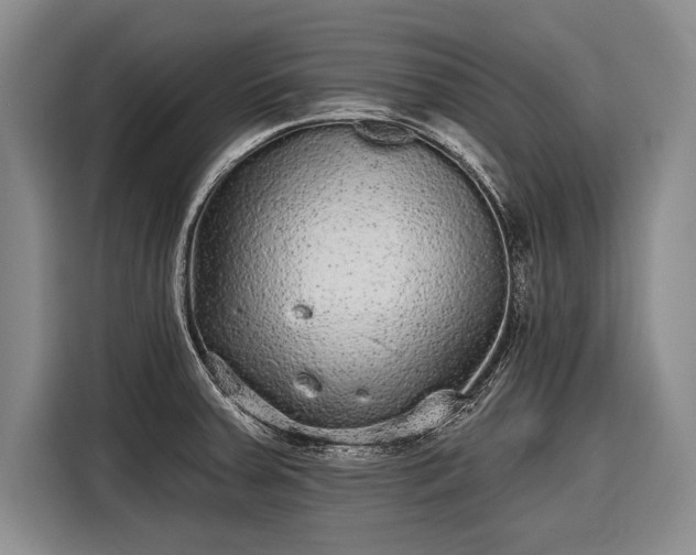 X0000116571379200912171455