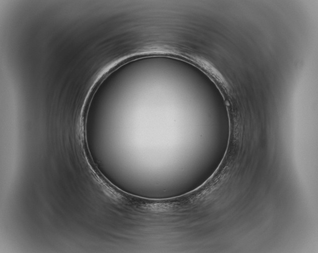 X0000116571380200912171455