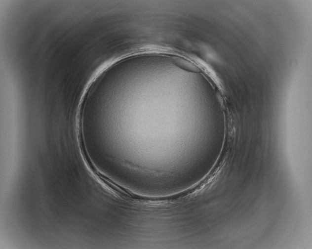 X0000116571381200912171455