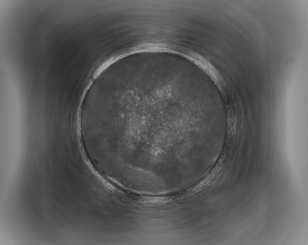 X0000116571382200912171455