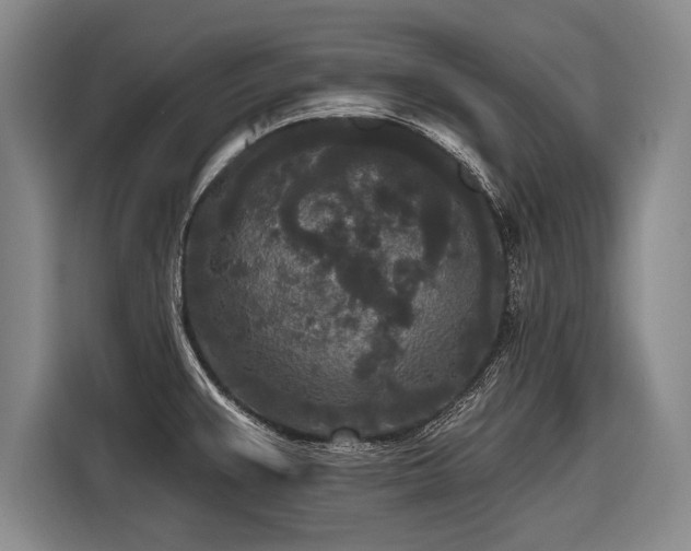 X0000116571383200912171455