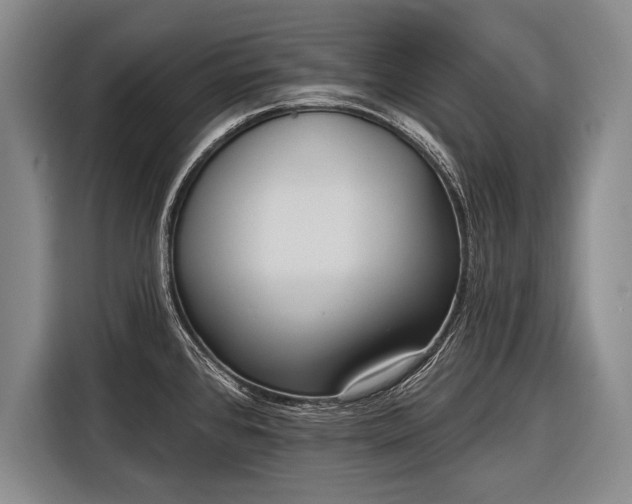 X0000116571384200912171455