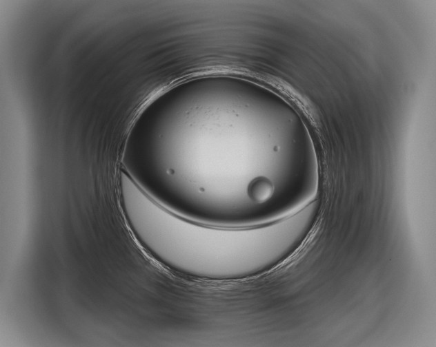 X0000116571385200912171455