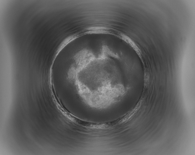 X0000116571386200912171455