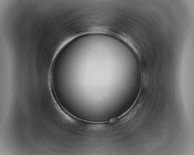 X0000116571387200912171455