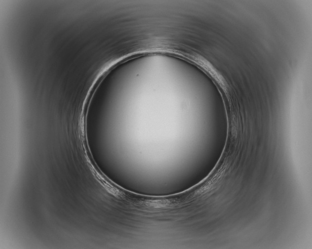 X0000116571388200912171455