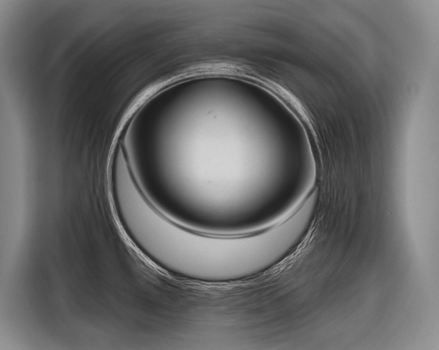 X0000116571389200912171455