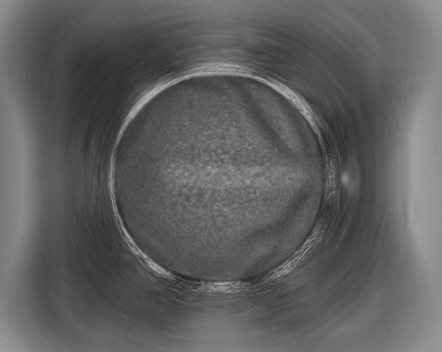 X0000116571390200912171455