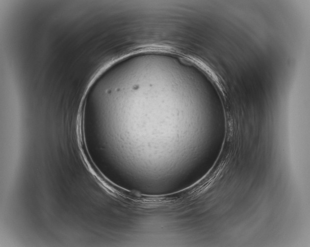 X0000116571391200912171455