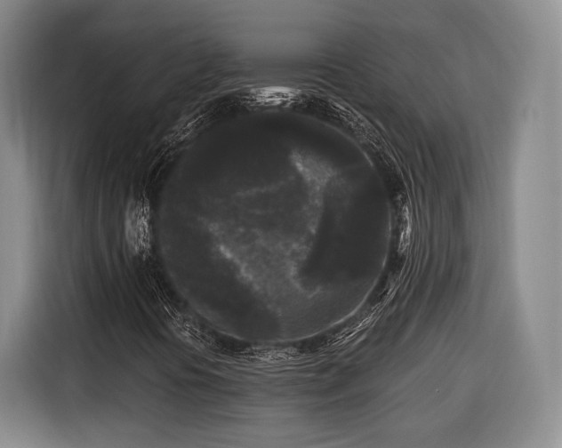 X0000116571394200912171454