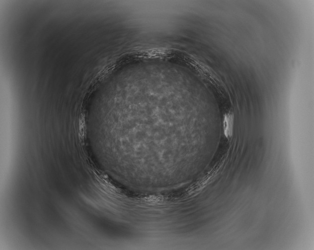 X0000116571395200912171454