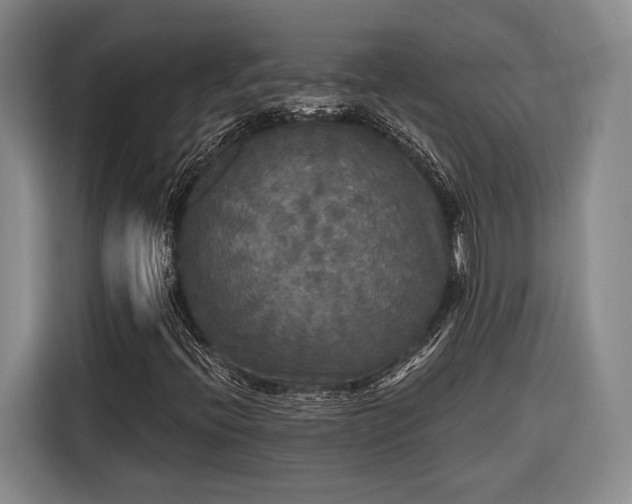 X0000116571396200912171454