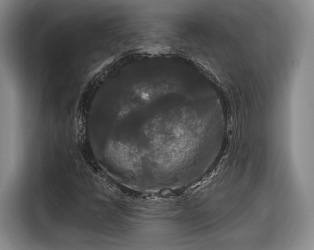 X0000116571398200912171454