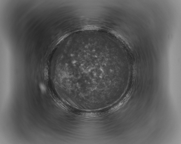 X0000116571401200912171454