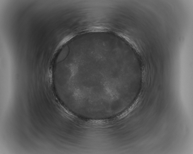 X0000116571402200912171454